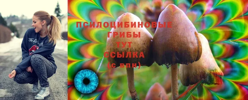 Псилоцибиновые грибы Magic Shrooms  ссылка на мегу ССЫЛКА  Губкин 