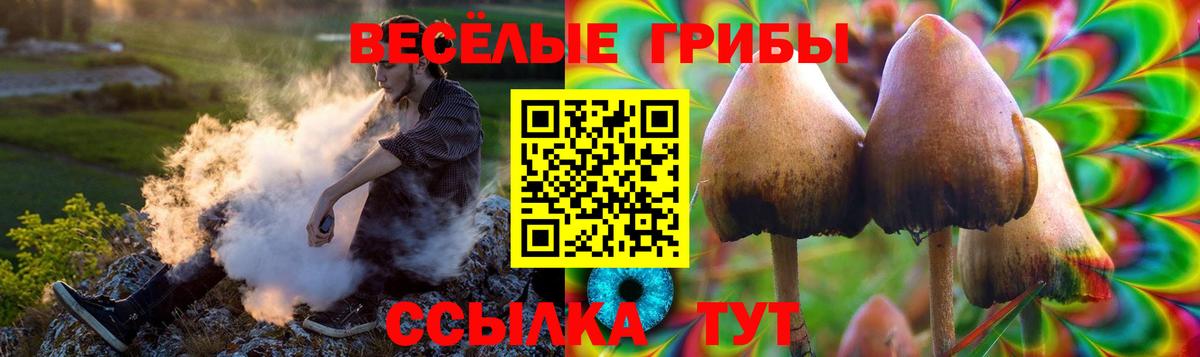 Псилоцибиновые грибы мицелий  Губкин 