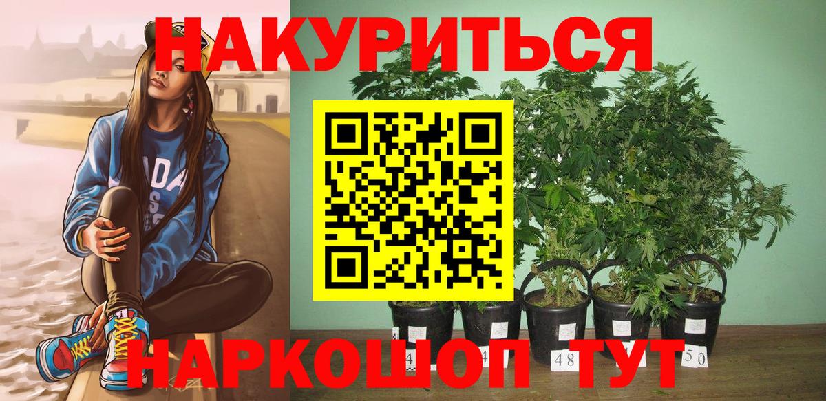 Каннабис White Widow  Вход с VPN  Губкин  Бошки Шишки Bruce Banner  Конопля Ganja 