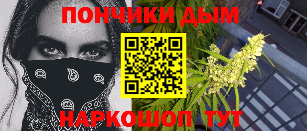 Бошки Шишки планчик Губкин